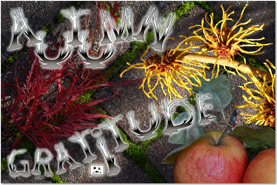 https://www.stylish-arts.com/#pm7.html. Stylish Arts by Gunther Lill. Digital Art # 158, ID638183, Autumn Gratitude, 2024.
